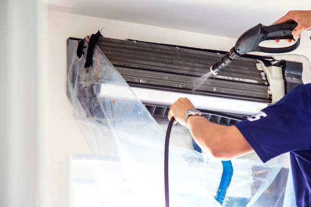 Best Professional Duct Cleaning Services  in Mount Plymouth, FL